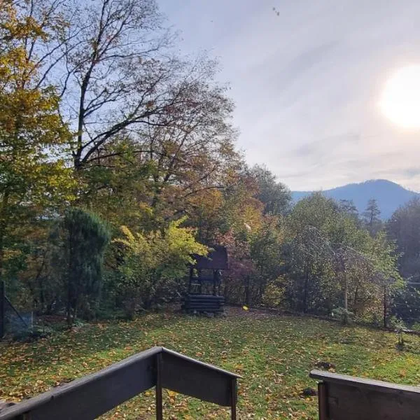 dziupla, hotel in Górki Wielkie