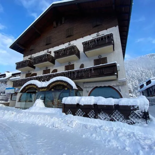 Hotel International, hotel a Tarvisio