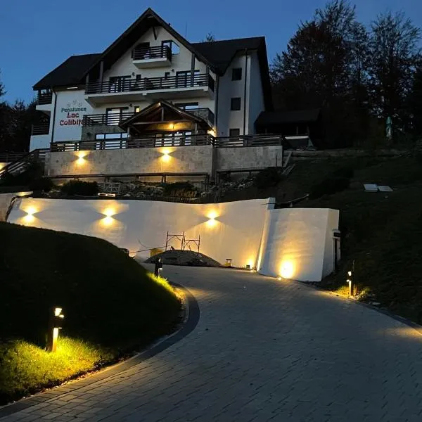 Lac Colibita, hotel in Colibiţa