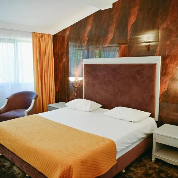 Hotel La Castel Iasi、ヤシのホテル
