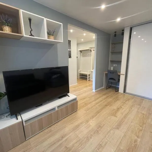 Modern 1BR Haven near Two Parks, Hotel in Riga
