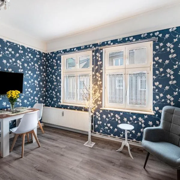 Studio zur »Alten Schmiede«, hotel en Laage