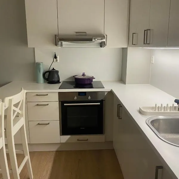 Great, spacious apt by central station!, hotel en Oslo