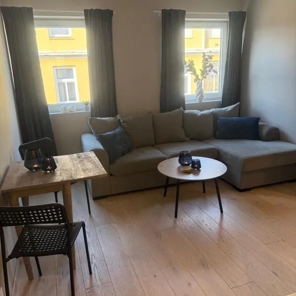 Notodden Sentrum Apartment NO 4, Hotel in Notodden