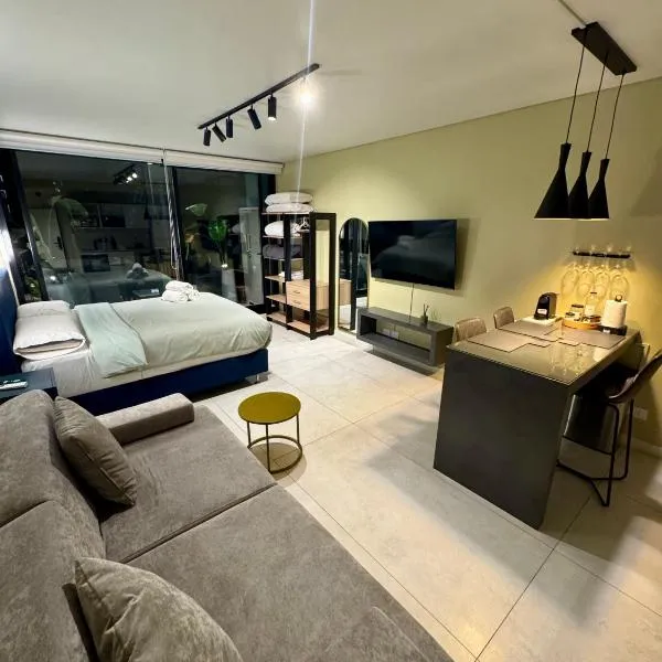 Foster Studio - Park，布宜諾斯艾利斯的飯店