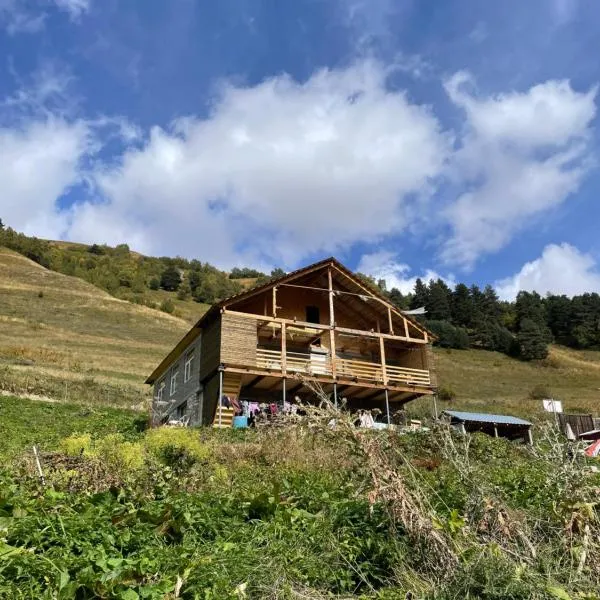 Guest house River side,位于Adishi的酒店