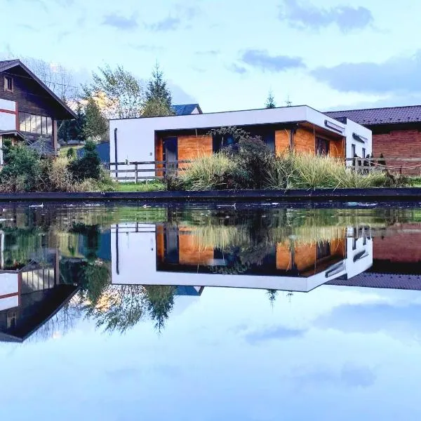 Вудхарт2, hotel in Yasinya