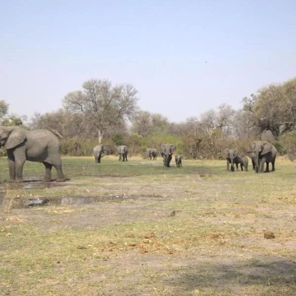 Khwai में, होटल Khwai Game Lodge and Campsite