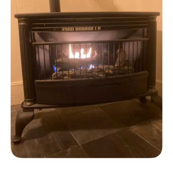 Charleston, SC themed - PRIVATE 1 QUEEN BED 1 BATH APARTMENT 2 FUTONS THAT FOLD OUT FLAT TO SLEEP ON & LEATHER LOVE SEAT GAS LOGS IN LIVING ROOM FULL KITCHEN POKER BUMPER POOL TABLE CONVENIENTLY LOCATED IN COLUMBIA SOUTH CAROLINA 1 QUEEN BED & 2 SOFA BEDS, hotel en Columbia