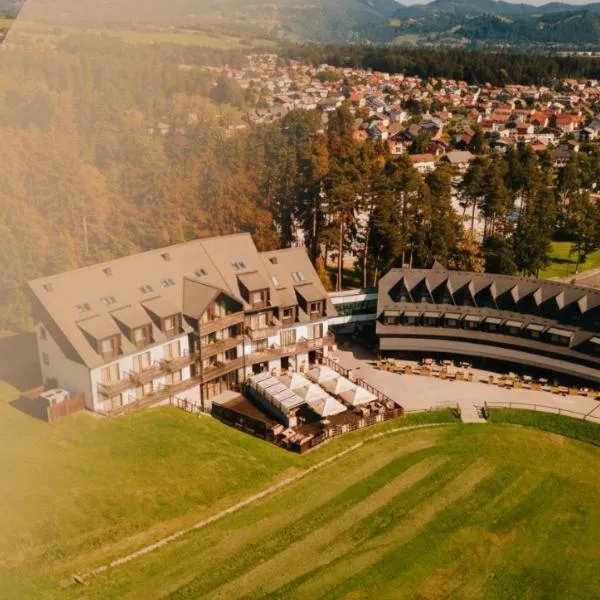 Hotel Arena Maribor, hotel in Maribor