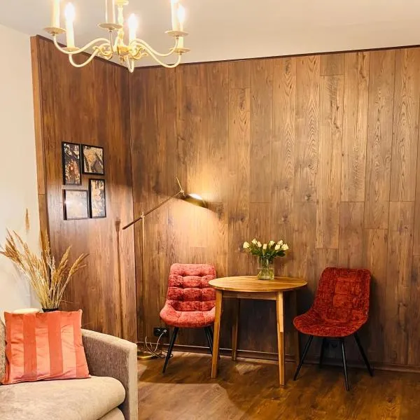 Li Amber Apartment Carnikava, hotel sa Carnikava