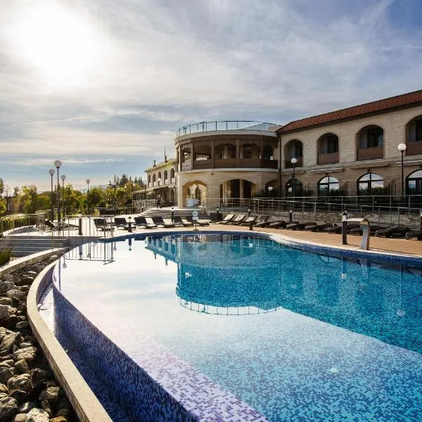 Panorama Kakheti Resort, ξενοδοχείο σε Gurjaani