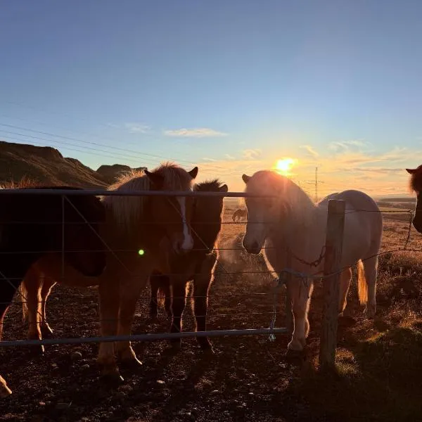 Arngrimslundur Cottages, hotel in Fludir