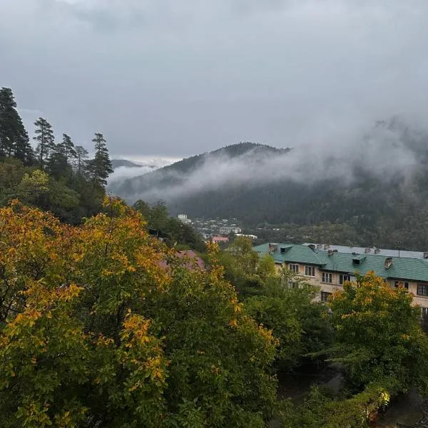 Luxury Residence Likani，位于博尔若米的酒店