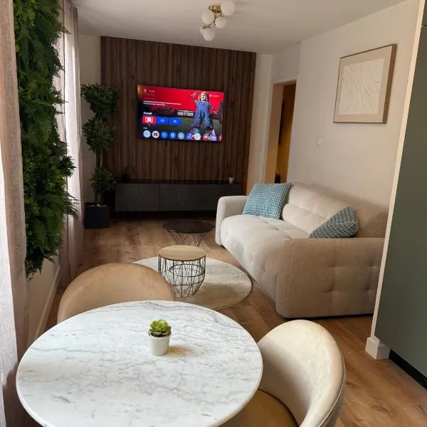Appartement cosy centre ville, hotel ve Štrasburku