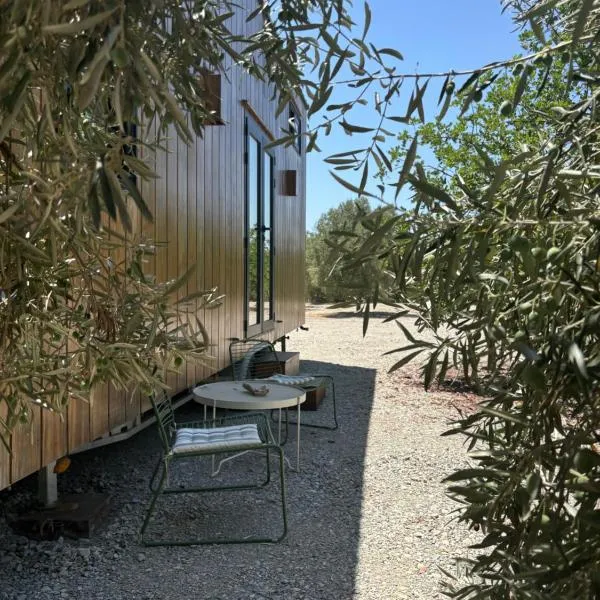 Tiny House，Pereiro的飯店