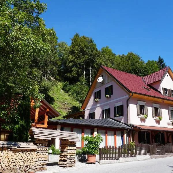 Guest House Gostišče Gačnk V Logu, hotel v mestu Cerkno
