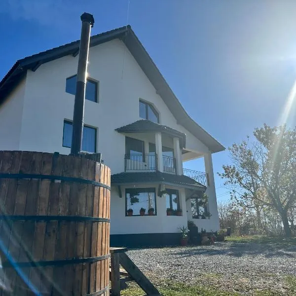 A&D House, hotel in Novaci