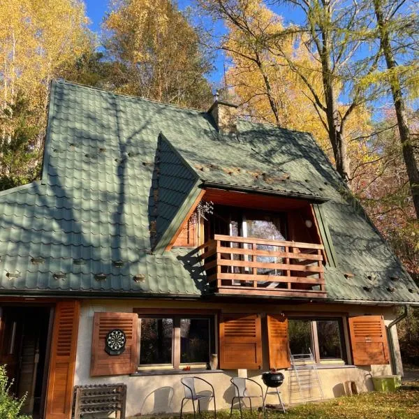 Domek w Lesie, hotel en Łęki