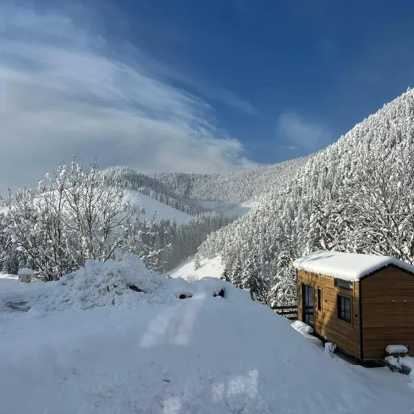 Petit chalet Cosy, Hotel in Villard-de-Lans