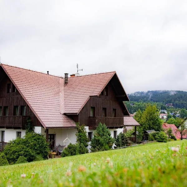Penzion Seidl, ξενοδοχείο σε Rokytnice nad Jizerou