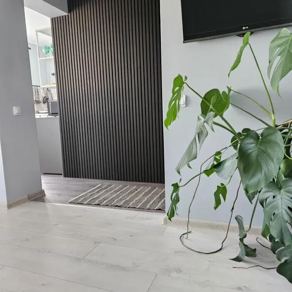 Pigeon apartment, hotel in Kuldīga