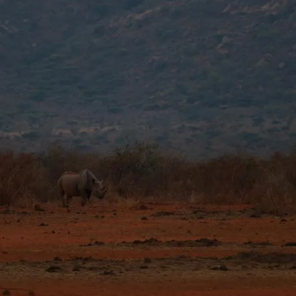 Tausa Tsavo Eco Lodge, hotel in Voi