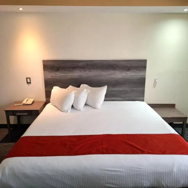 Hotel ALO! Express,位于托雷翁的酒店