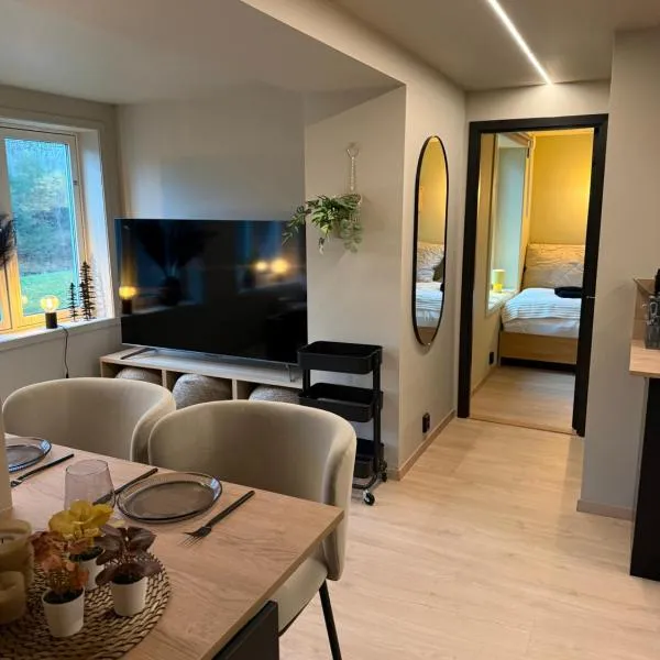 Notodden Luxe two-bedroom Apartment – hotel w mieście Notodden