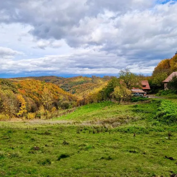 Dolinka Off-grid Eco Farm, hotel in Kozelník