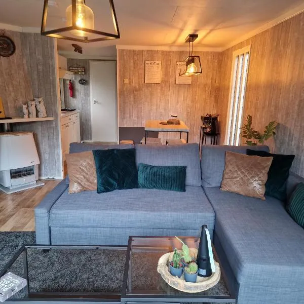 Veluwe Park Reewold-Chalet in Putten voor rust zoeker, hotel in Putten