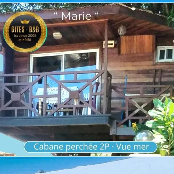 Hôtel Restaurant Gites Kribi, hotel in Kribi