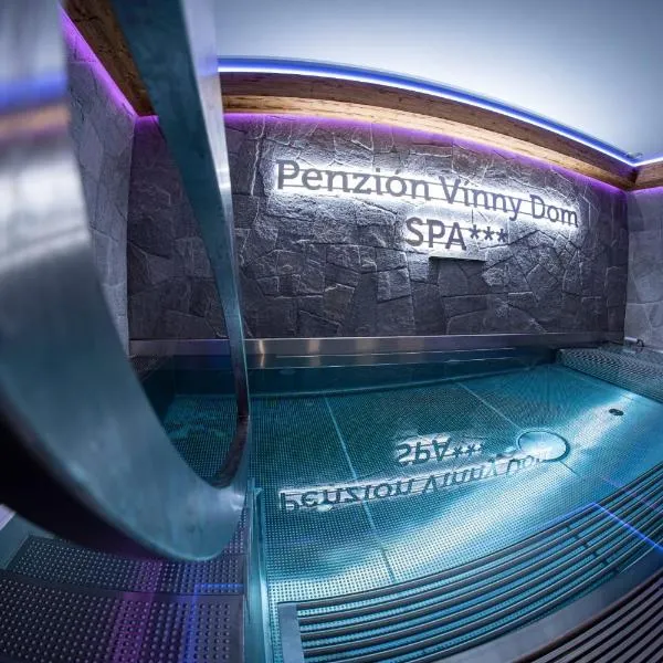 Wellness Penzión Vínny Dom, hotel v Strede nad Bodrogom