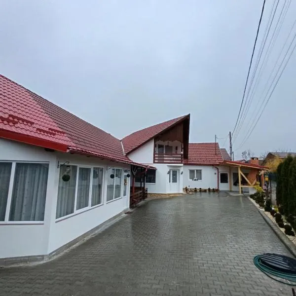 Casa Ioana Întorsura Buzăului, ξενοδοχείο σε Brădet