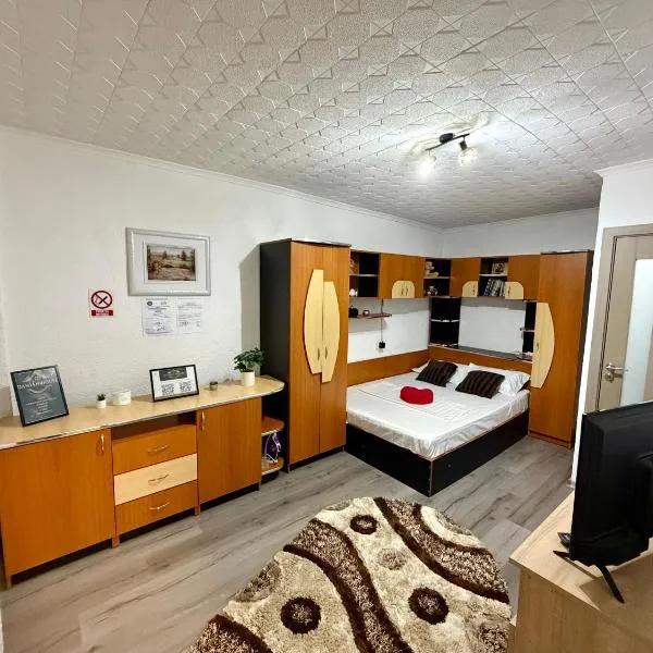 Damian House, ξενοδοχείο στην Ντρομπέτα-Τούρνου Σεβερίν