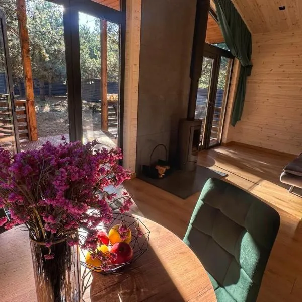 Equi Lis - будиночки для відпочинку、Yasnogorodkaのホテル