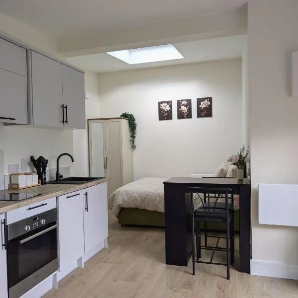 Garden Apartment with Private Entrance，位于都柏林的酒店