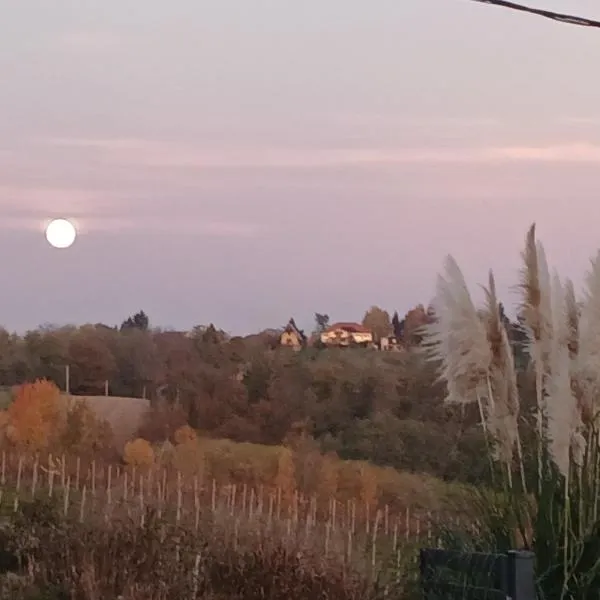 Tweet Apartments with Sauna and optional Breakfast Close To Terme Sveti Martin, hôtel à Štrigova