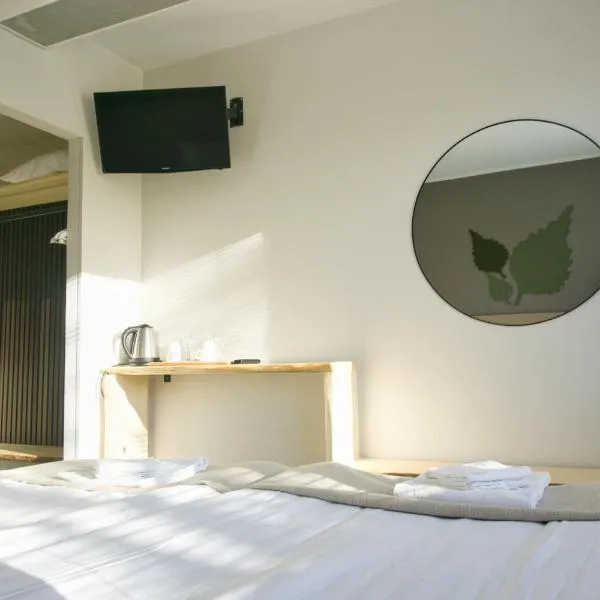 Hotelli Savonlinna、サヴォンリンナのホテル