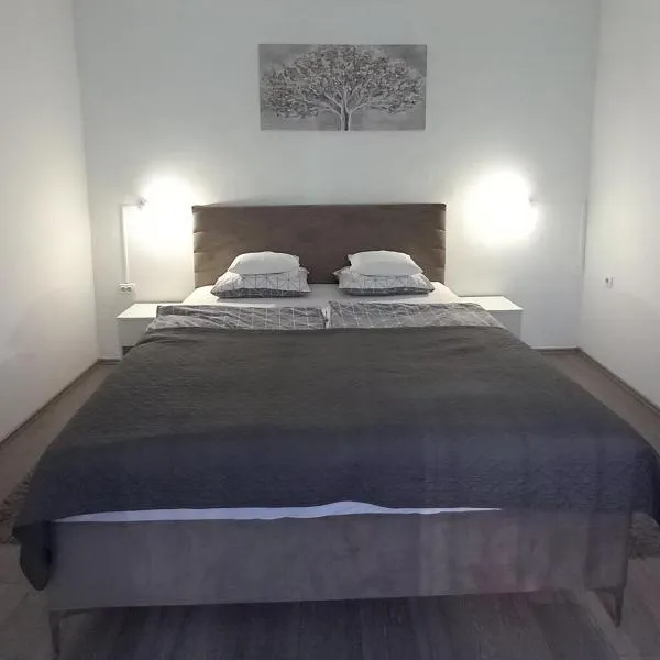 Apartment Centar, hotel v destinaci Slavonski Brod