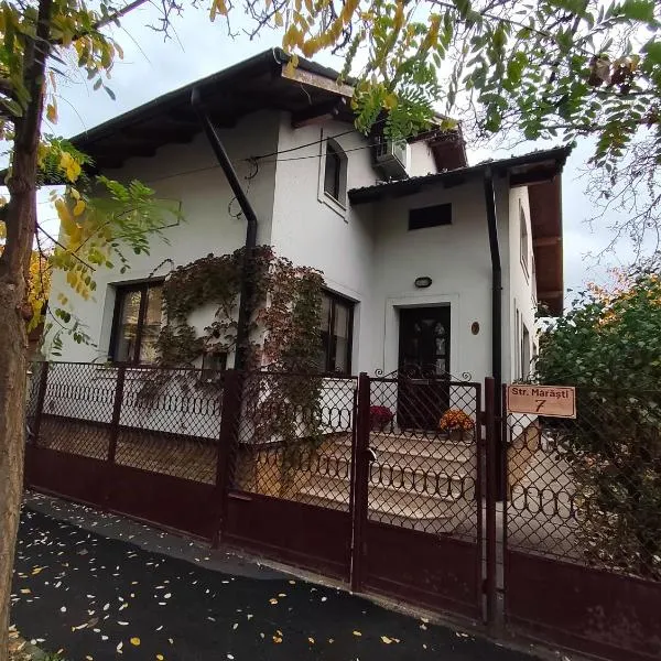 Casa Paul, hotel v destinaci Craiova