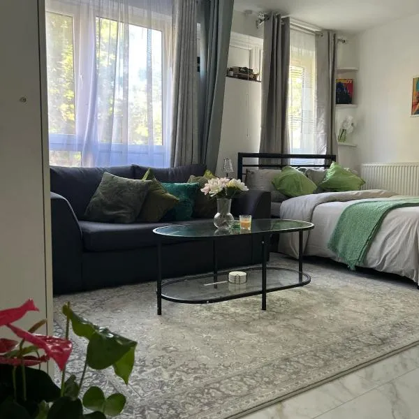 Cosy Studio in Vibrant Brixton, Hotel in London