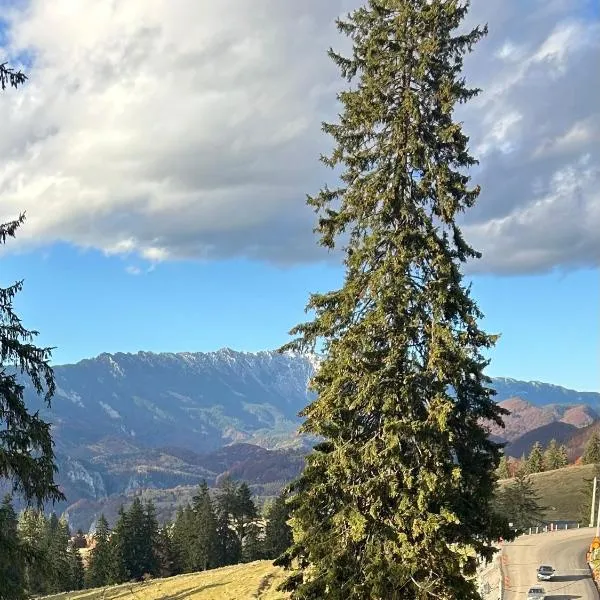 Virajlux, hotel in Dîmbovicioara