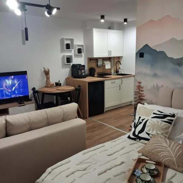 Studio Pieniny Szczawnica, hotel sa Szczawnica