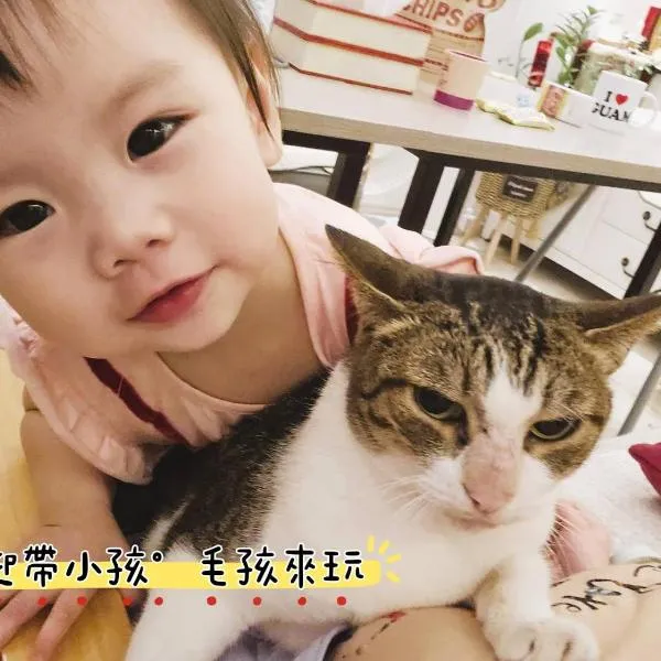 咩咩不是羊民宿Mieh's Inn 花蓮市區 電梯 寵物友善民宿, hotel v destinaci Chua-lien