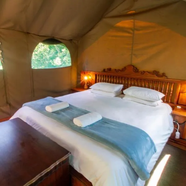 Wilderness Forest Glamping, hotel em Wilderness