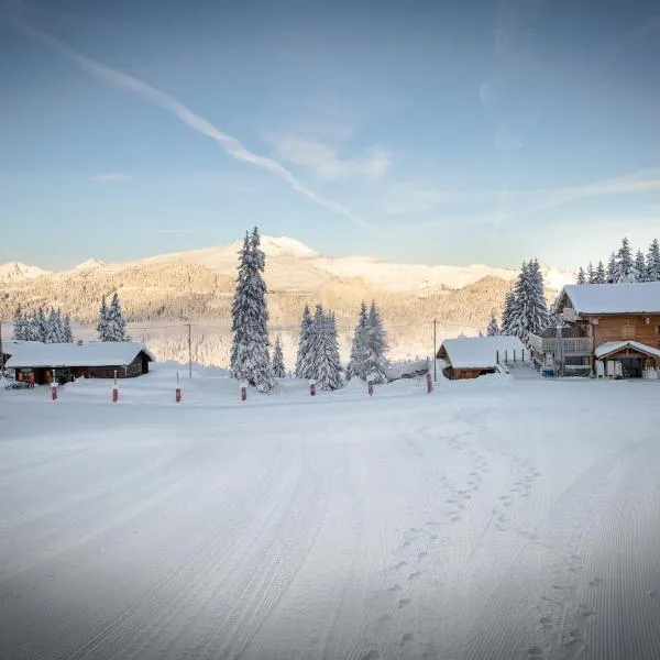 Le Flocon d'Argent, hotel in Les Gets