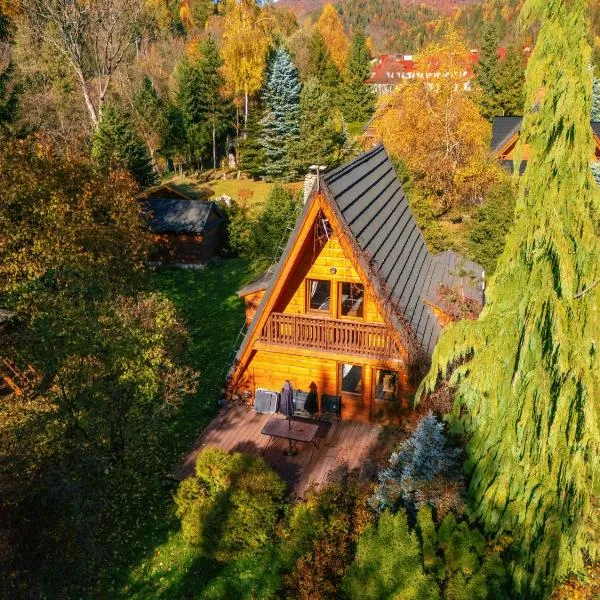 Domki Janosik - Góralski domek z kominkiem, na dużej ogrodzonej działce, przyjmujemy psy bezpłatnie, Łopuszna blisko Nowego Targu i Białki Tatrzańskiej na Podhalu, hotel v destinaci Łopuszna