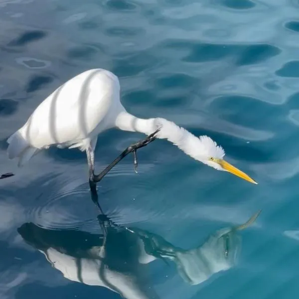 Manor, hotel en Sugar Land