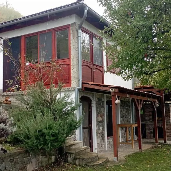 Vila Hedona, hotel v destinaci Donji Milanovac